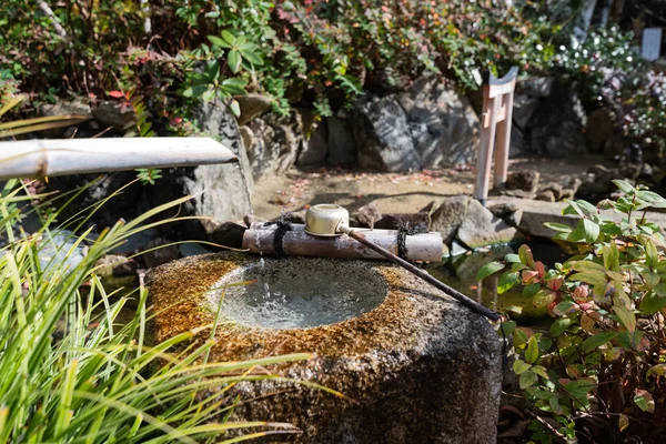 Japon tapınağındaki kaplumbağa.