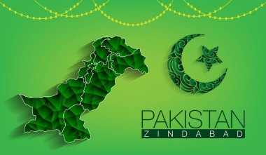 Pakistan haritasında ay ve yıldız yeşil zemin üzerinde Pakistan Zindaband, Pakistan bayrağı ve vektör tasarımı ile soyut