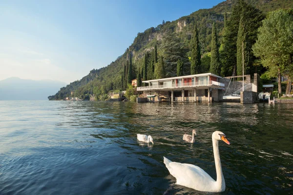 Casa de concreto junto ao lago — Fotografia de Stock