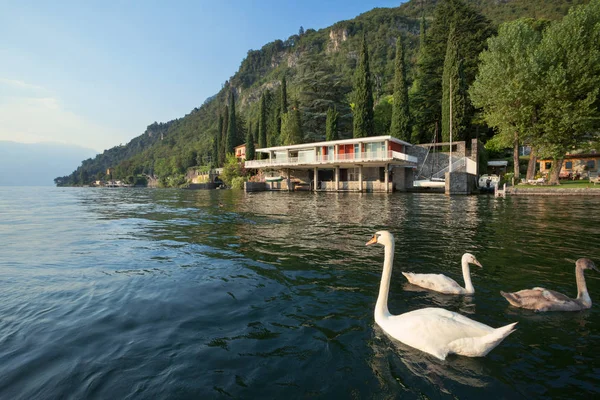 Casa de concreto junto ao lago — Fotografia de Stock