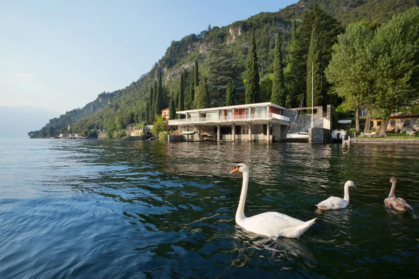 Lake house, outdoors