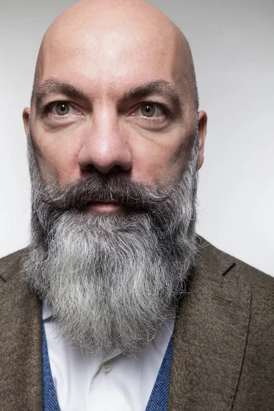 Man in studio, portrait — Stock Photo, Image