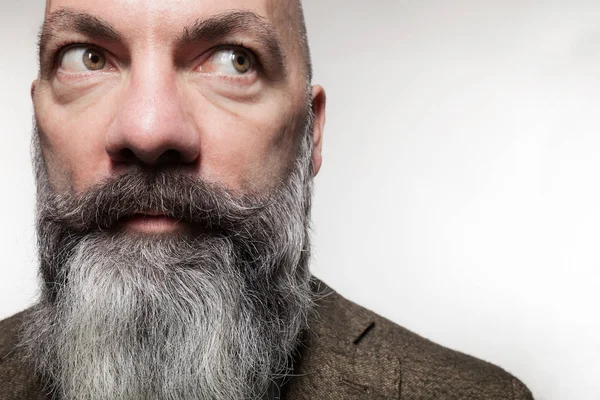 Man in studio, portrait — Stock Photo, Image