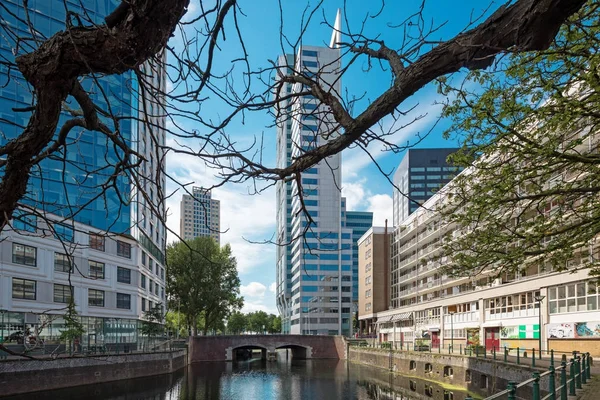 Rotterdam stadsgezicht met kanaal en gebouwen — Stockfoto
