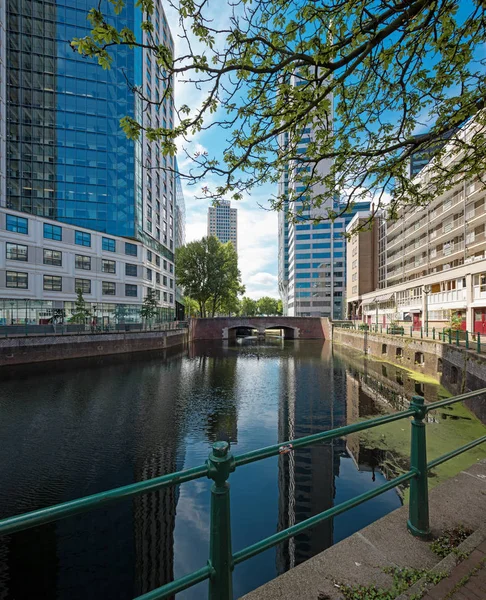 Panoráma města Rotterdam s kanálem a budov — Stock fotografie