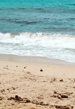 Deniz dalgası kumsalda 