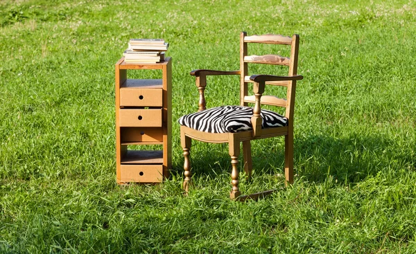 Antique Chair Green Meadow Outdoor Scene — Stock Photo, Image