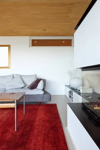 Moderne stue med peis – stockfoto