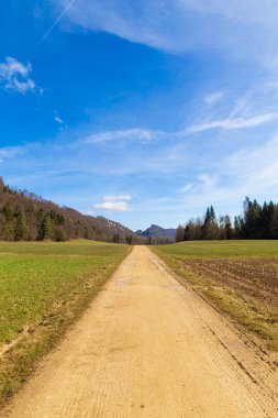 toprak yol ile kırsal manzara