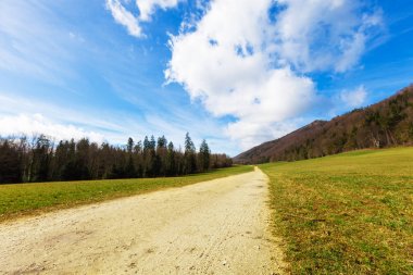 toprak yol ile kırsal manzara