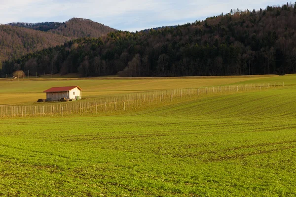 Paisagem rural na primavera, gramados — Fotografia de Stock