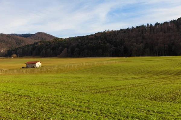 Countryside krajobraz wiosną, trawniki — Zdjęcie stockowe