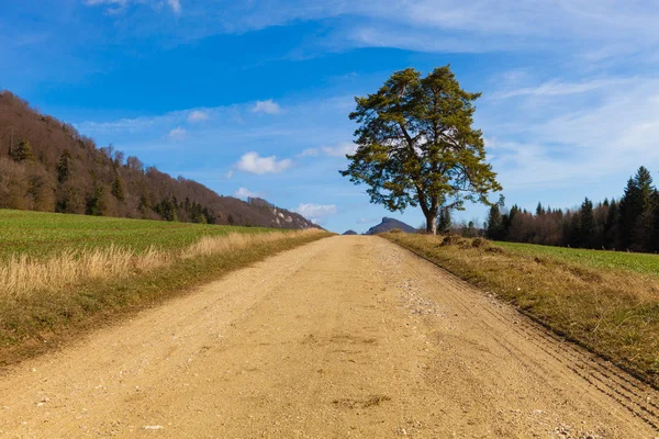 Platteland landschap met onverharde weg — Stockfoto