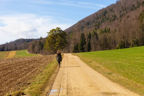 Doğa, tarım peyzaj, sonbahar alanlarında çocuklarda