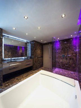 lüks banyo modern bir evde