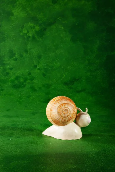 Schattig Marionet Handgemaakte Groene Achtergrond — Stockfoto