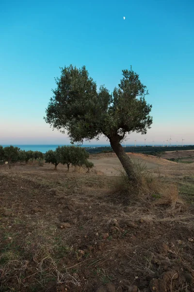 Akdeniz manzarası — Stok fotoğraf