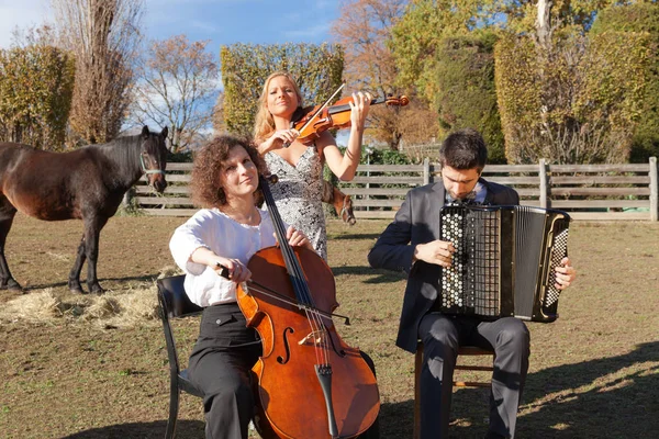 Tres jóvenes músicos, al aire libre — Foto de Stock