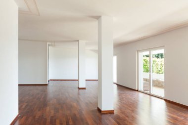 modern iç daire