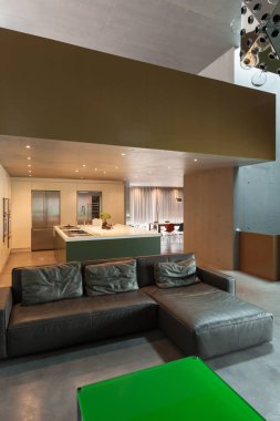 modern oturma odası