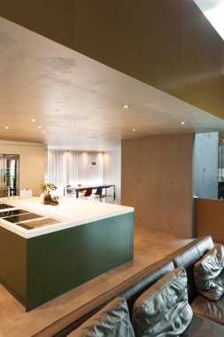 modern oturma odası