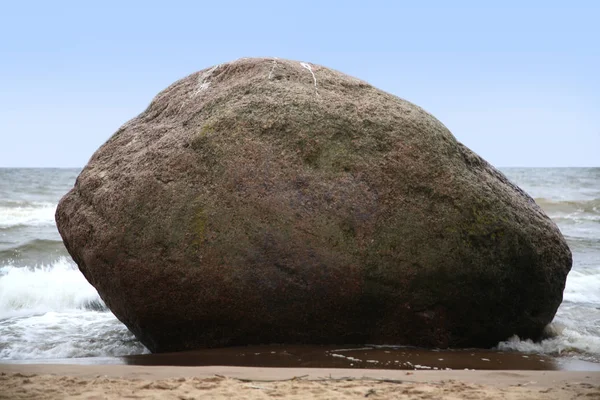 Vadon élő természetes strand, tenger mellett — Stock Fotó