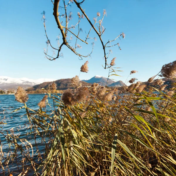 Schöner Blick auf den See — Stockfoto