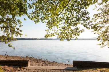 manzara, göl ve göl ve ağaçlar, kıyıdan görüntülemek
