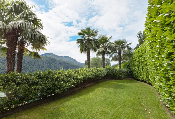 Trädgård med palmer — Stockfoto