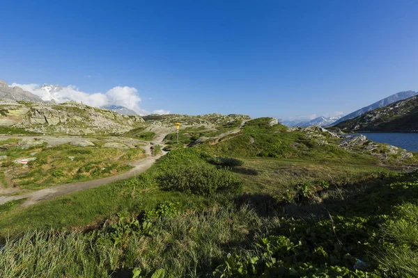 Αλπικό πέρασμα του San Bernardino στην Ελβετία, γκαζόν και λίμνη — Φωτογραφία Αρχείου