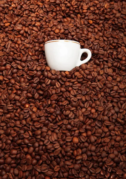 Tasse Kaffee mit gerösteten Bohnen, Stillleben — Stockfoto