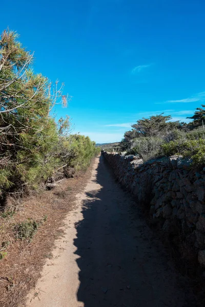 Issız ülkede yol ile Alçıpan, kimse — Stok fotoğraf