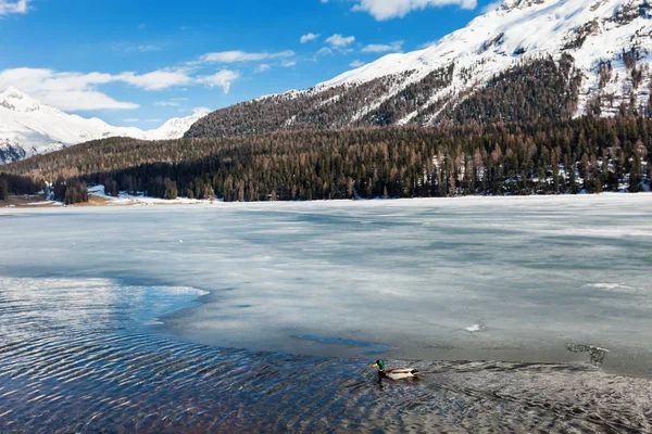 Beau Paysage Montagne Glace Lac — Photo