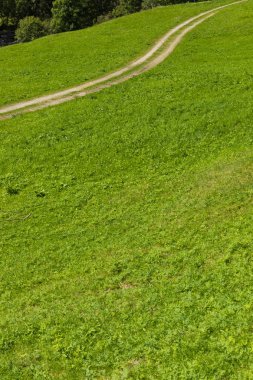 Yeşil Yaz mera carrareccia yolu ile