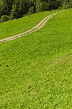 Yeşil Yaz mera carrareccia yolu ile