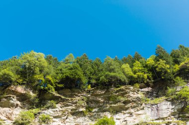 İsviçre manzara, orman ve mavi gökyüzü