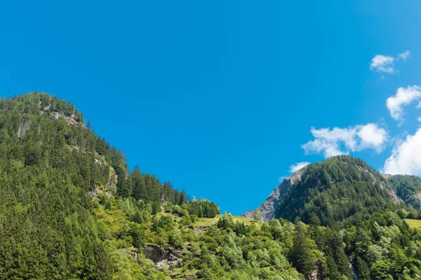 Táj, erdő és a kék ég, Svájc — Stock Fotó