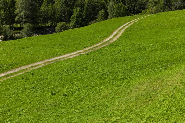 Pastos verdes de verano con carrareccia carretera —  Fotos de Stock