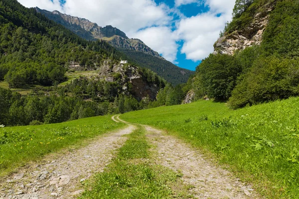 Landskap av den schweiziska dalen på Rossa i Graubünden — Stockfoto