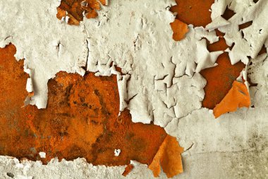 terk edilmiş evde, mimari