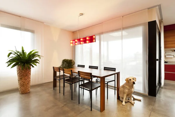 Modern appartement, woonkamer — Stockfoto