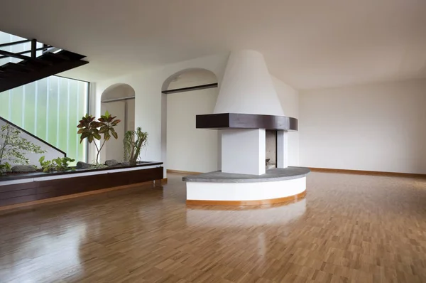 Modern interior openspace fireplace