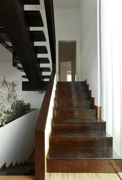 Escaliers minimaux en bois — Photo