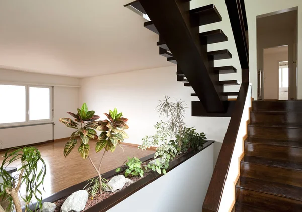 Escaleras mínimas de madera — Foto de Stock