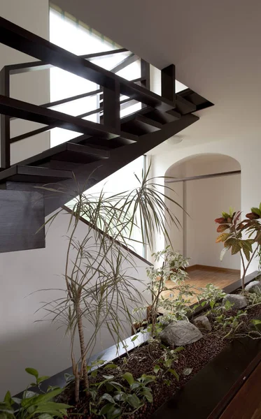 Minimal wooden stairs