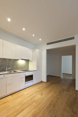 Modern Daire, iç, mutfak