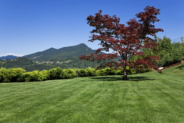 Casa in mattoni, vista dal giardino — Foto Stock