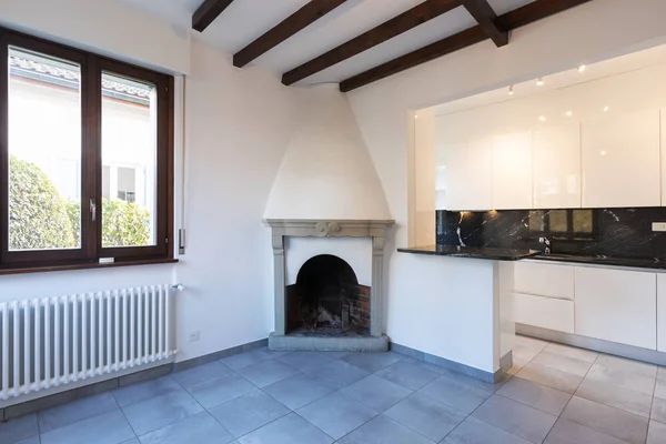 Küche im offenen Raum in der Nähe von Wohnzimmer mit Kamin — Stockfoto