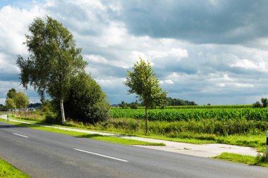 Mısır, içeride kimse yok ekili alanlar