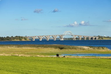 Kraliçe Alexandrine Köprüsü